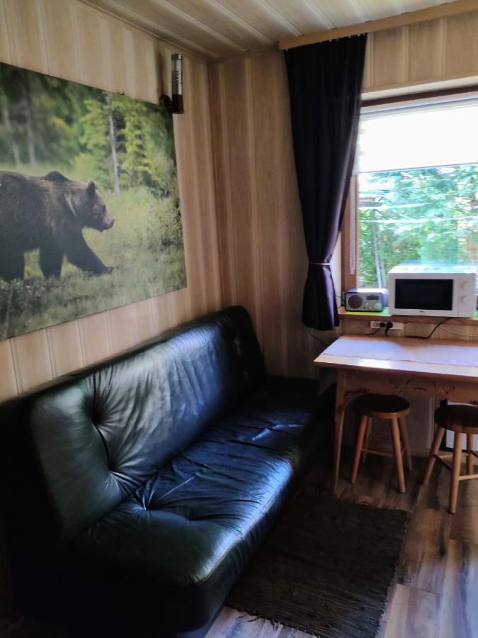 Marynka Apartment Закопане Екстериор снимка